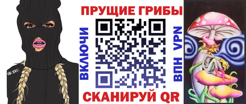 Псилоцибиновые грибы мухоморы наркота Орехово-Зуево
